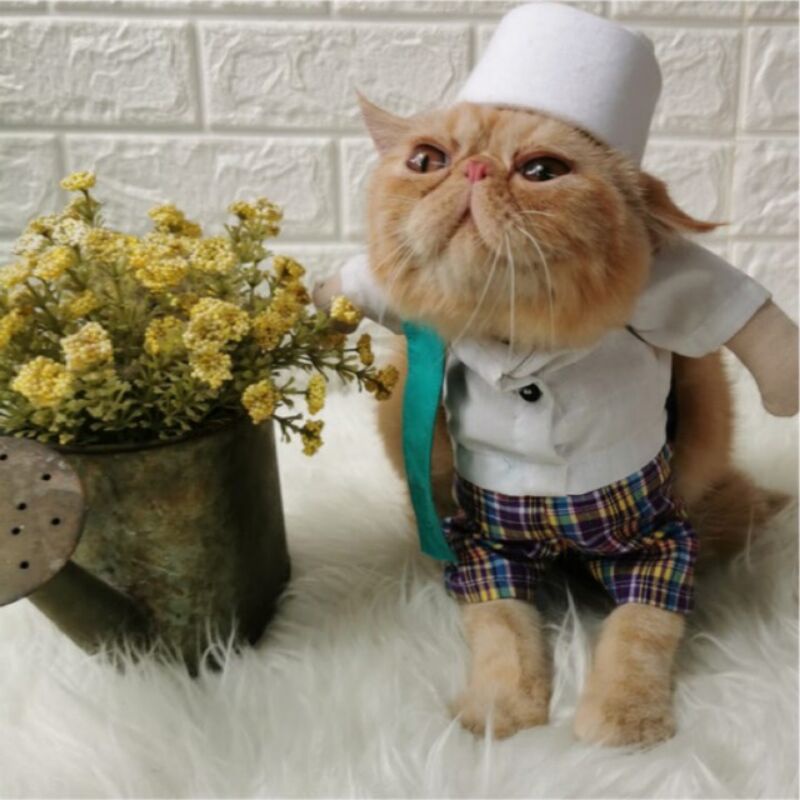 Baju Lebaran Kucing Viral Kostum Koko Muslim Karakter Pak Haji Lengkap dengan Peci Sarung dan Sandal