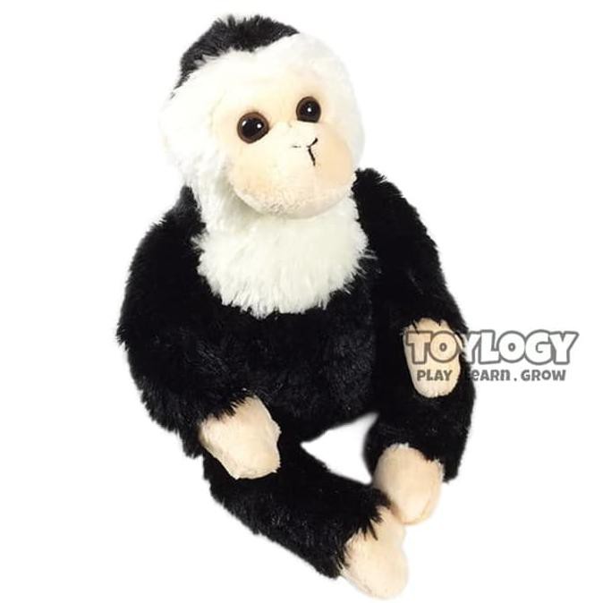 capuchin stuffed animal