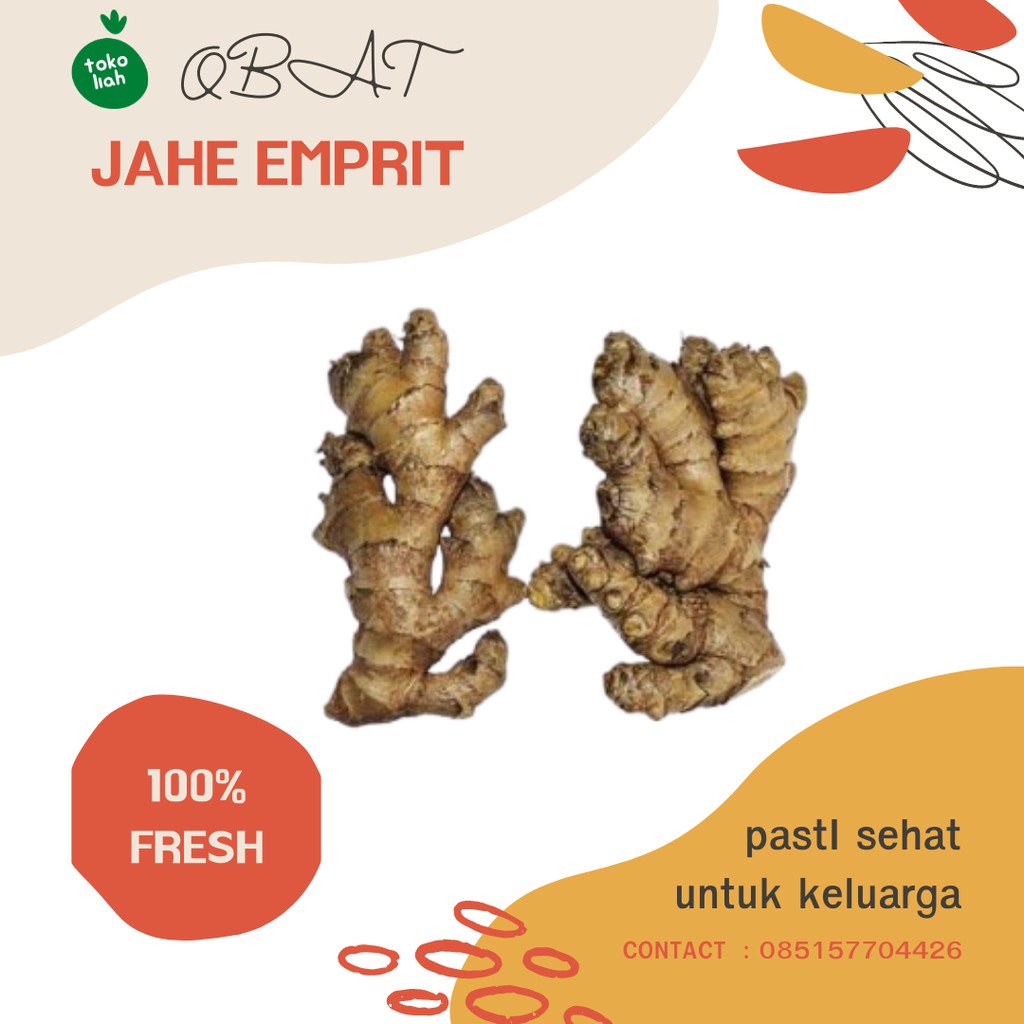 

JAHE EMPRIT SEGAR JAHE PUTIH GINGER JAMU HERBAL PENAMBAH DAYA TAHAN TUBUH 1KG