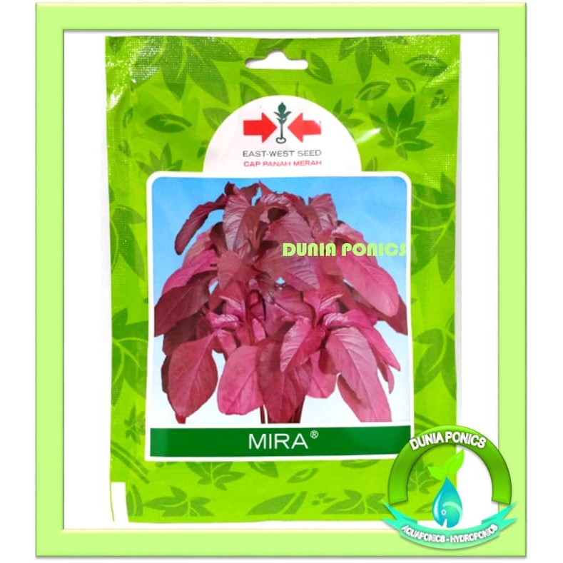 

Benih Bayam Merah MIRA Panah Merah Kemasan Pouch Pack 20.000 Butir
