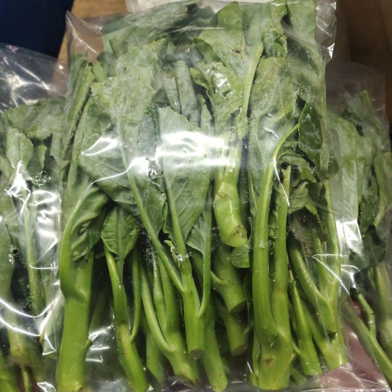 Sayur Kailan 500gram