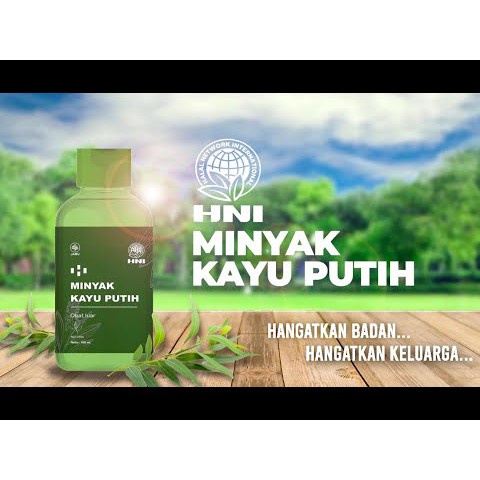 Minyak Kayu Putih Ambon Asli HNI HPAI Obat Nyeri Sendi Dan Otot Hidung Tersumbat Pelega Pernafasan-3