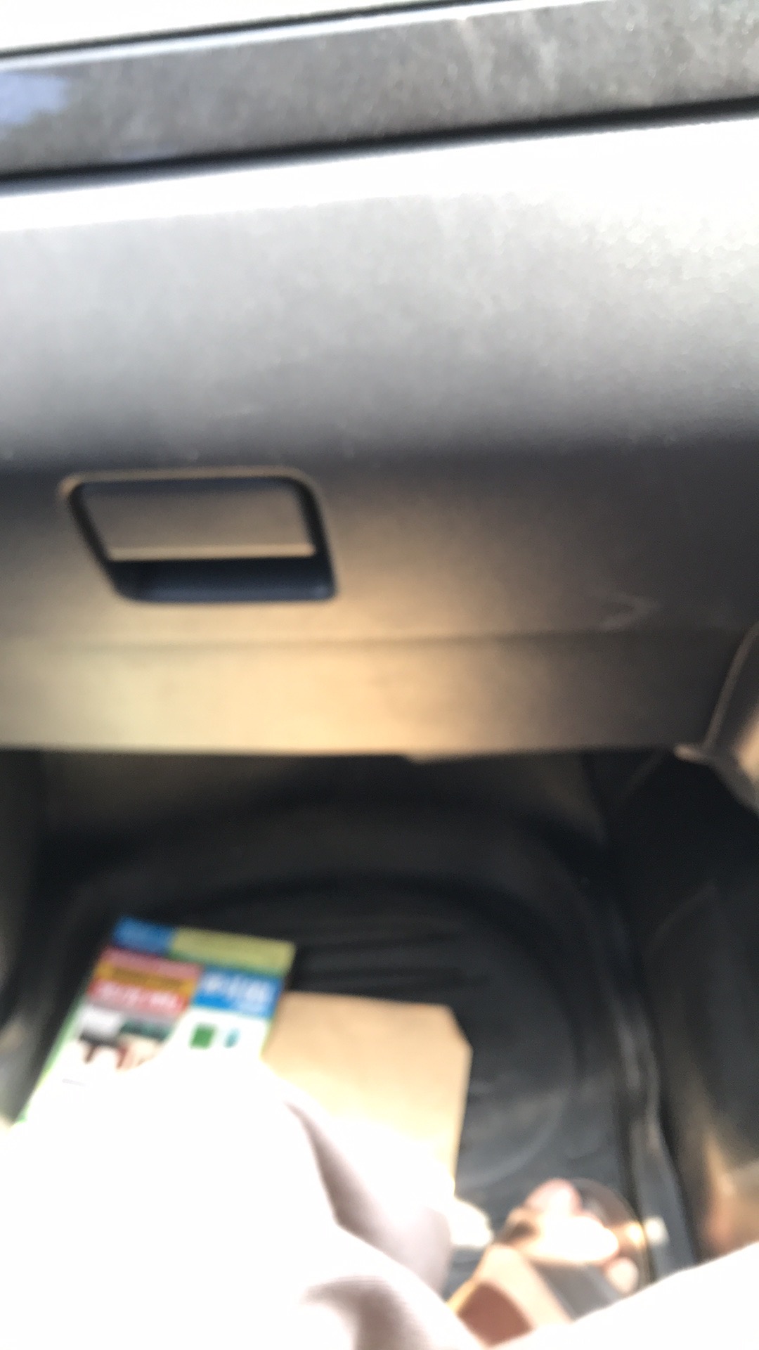 Ring Box / Ring Bearere Terrarium Gold