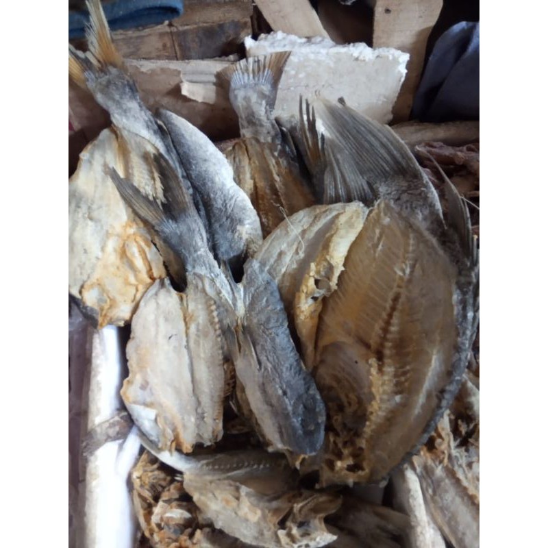 

ikan asin jambal roti setengah kilo gram