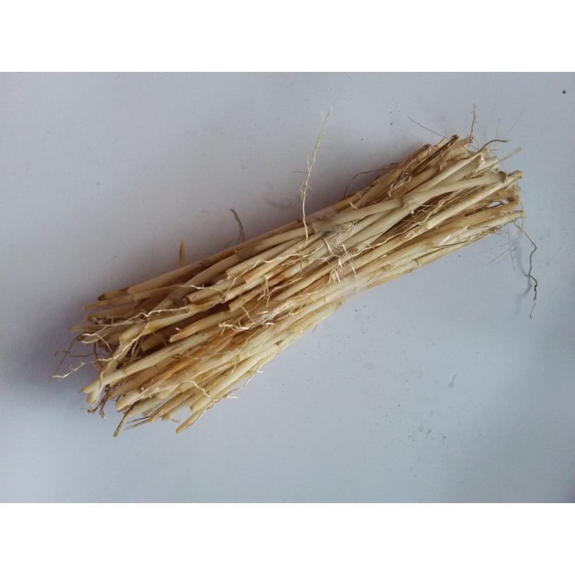 

akar alang alang segar basah 500 gram