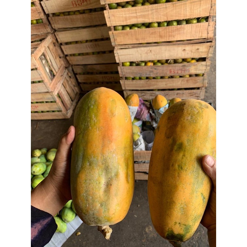 

PEPAYA CALIFORNIA