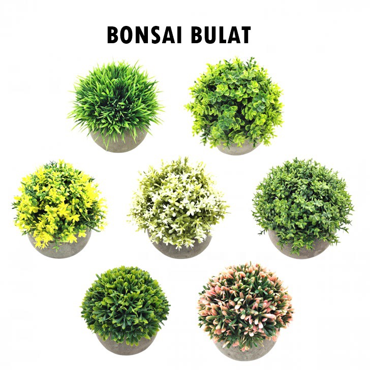 Bonsai Bulat Pajangan Bunga l Multidekor