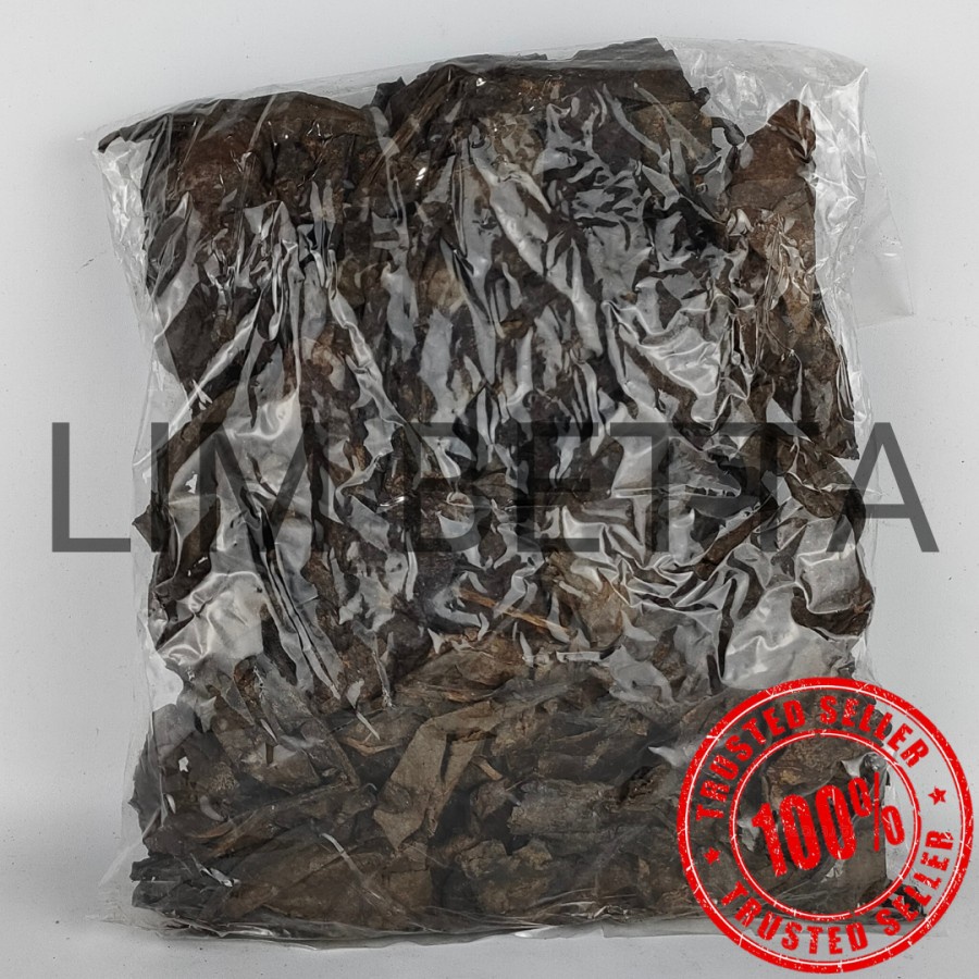 100 GRAM DAUN KETAPANG LAUT / DAUN KETAPANG LAUT ORIGINAL