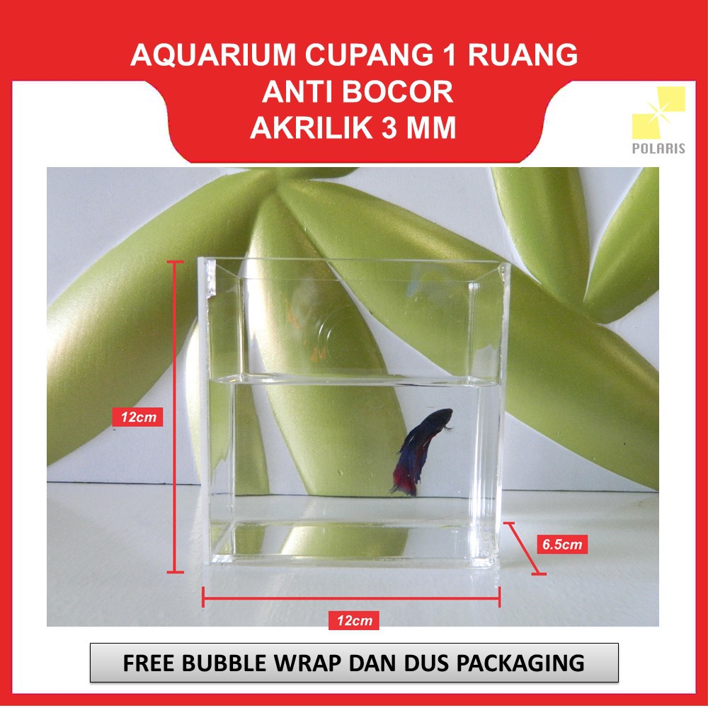 AKUARIUM IKAN CUPANG AKRILIK / AQUARIUM ACRYLIC IKAN HIAS / SOLITER IKAN CUPANG