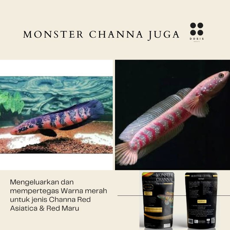 MONSTER CHANNA 100 gram Pelet Spesial untuk ikan Chana