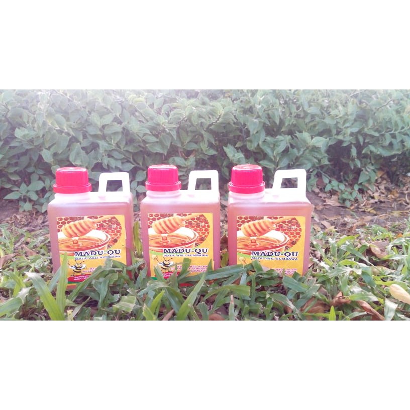 

MADUQU, MADU ASLI SUMBAWA KUALITAS SUPER 500 ml