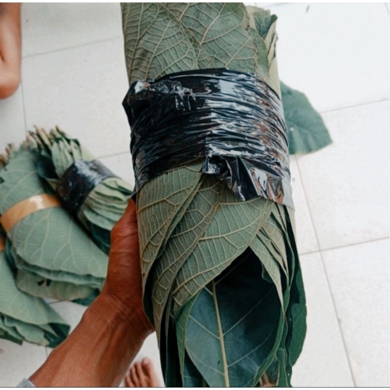 

daun jati perlembar sangat fresh