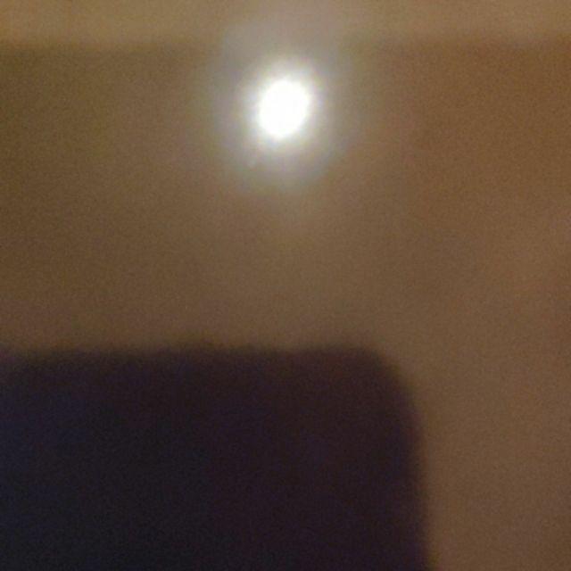 Selang Shower 1.5 Meter Camel Kuningan Asli / Selang Sower / Selang Shower Mandi