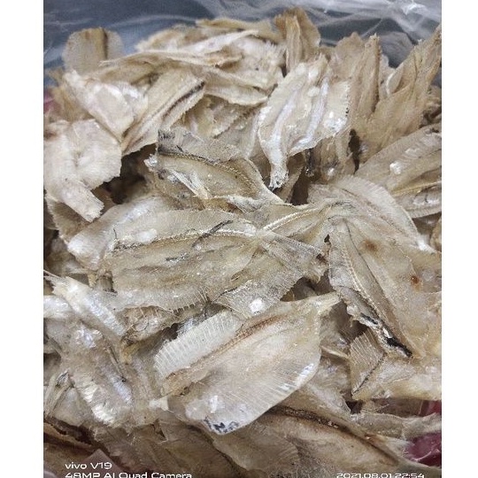 

Ikan kalapan / pakang tawar / ikan tipis 250g