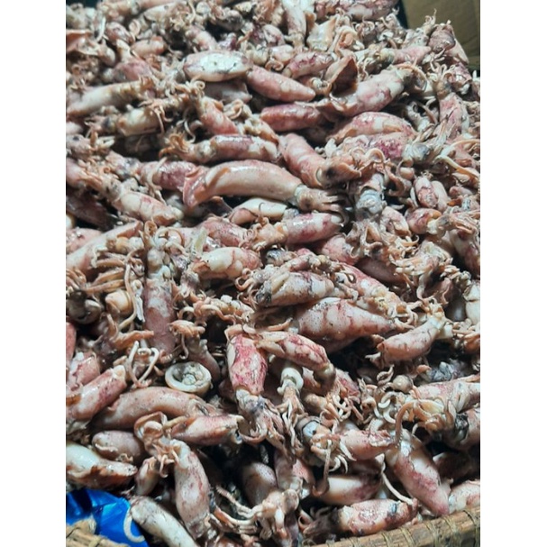 

ikan cumi asin 100grm