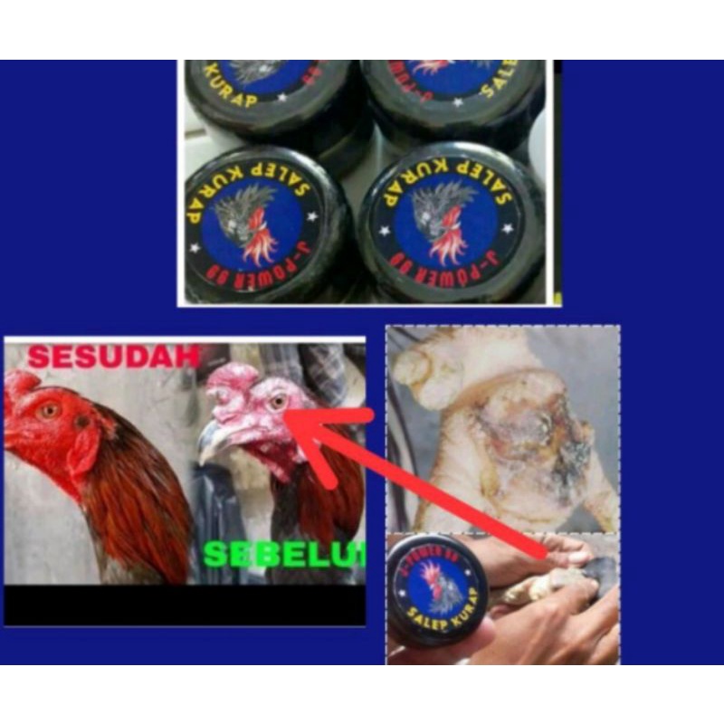 Obat luar ayam salep hitam J Power99 mengobati kurap bubul goham ayam