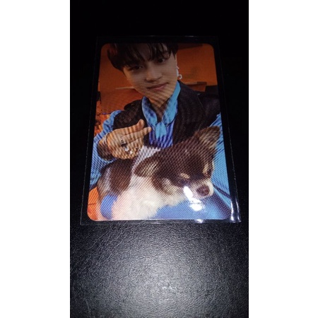 photocard taeil anjing