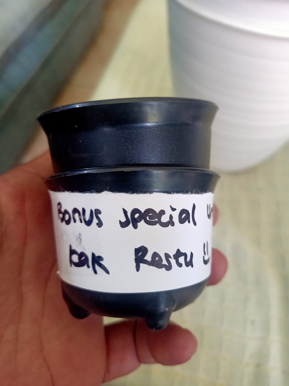 Ori 100% Pot Tawon Tinggi Pirus / Tirus 18 Cm + Tatakan Asli Budi Jaya Bjp Bunga Pupuk Daun Bibit