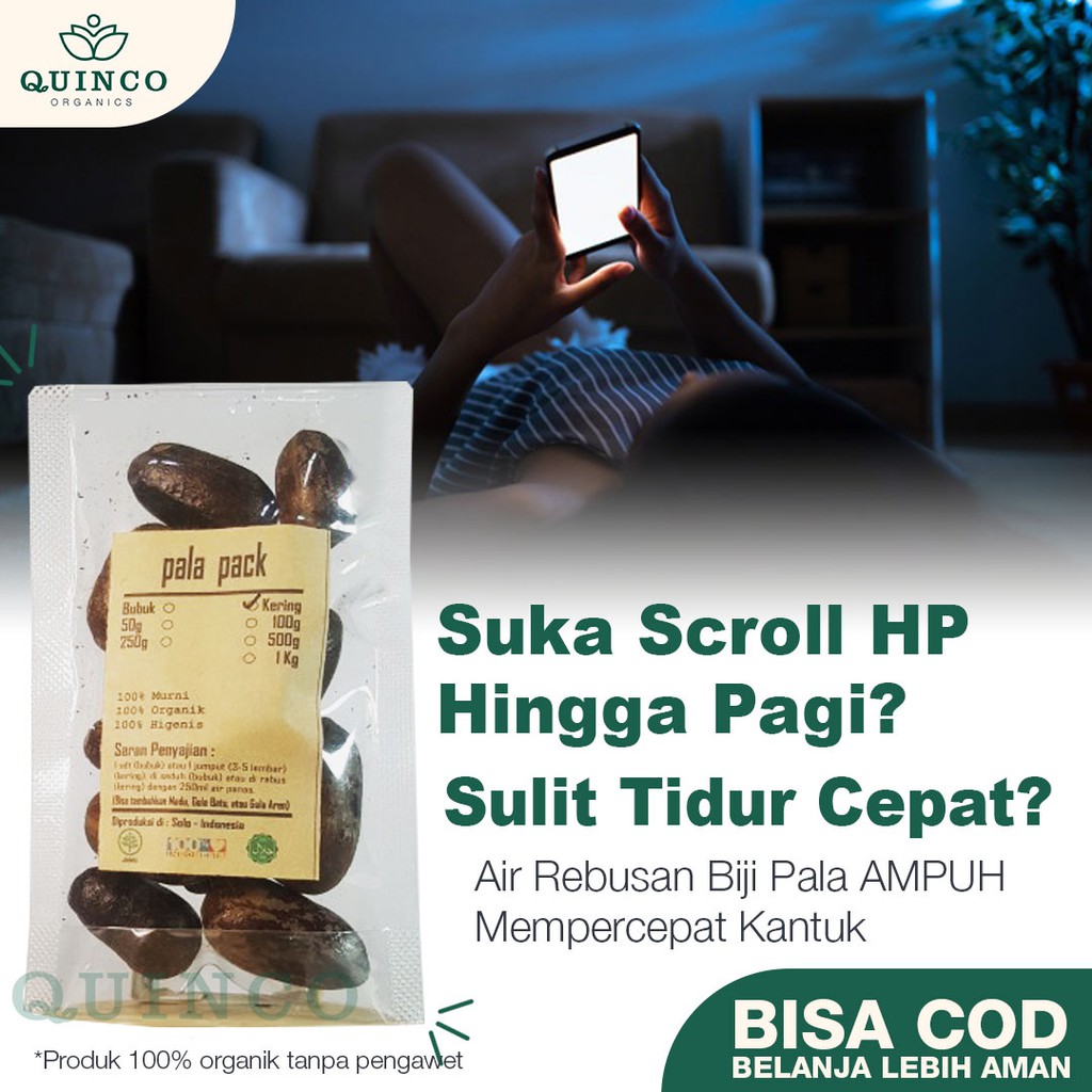 

Biji Pala Kering Asli Rempah Organik Penambah Nafsu Makan JSR Suplemen Makanan Segar 100 gram R157