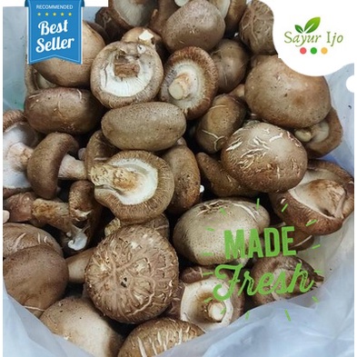 

Jamur Shitake 90 - 100 Gram Fresh Grade A Jamur Hioko Shiitake Mushroom Hyoko Sayur Hijau Segar