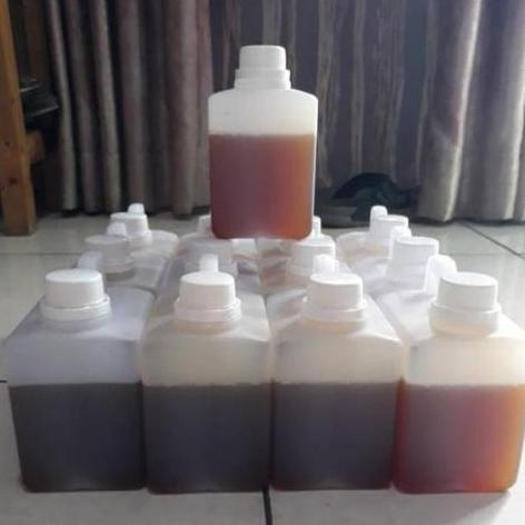 

BERKASIAT MADU SIDR KASHMIR BUGHIYAH 500GR | ROYAL KASHMIR | PREMIUM PURELAND [!!!]