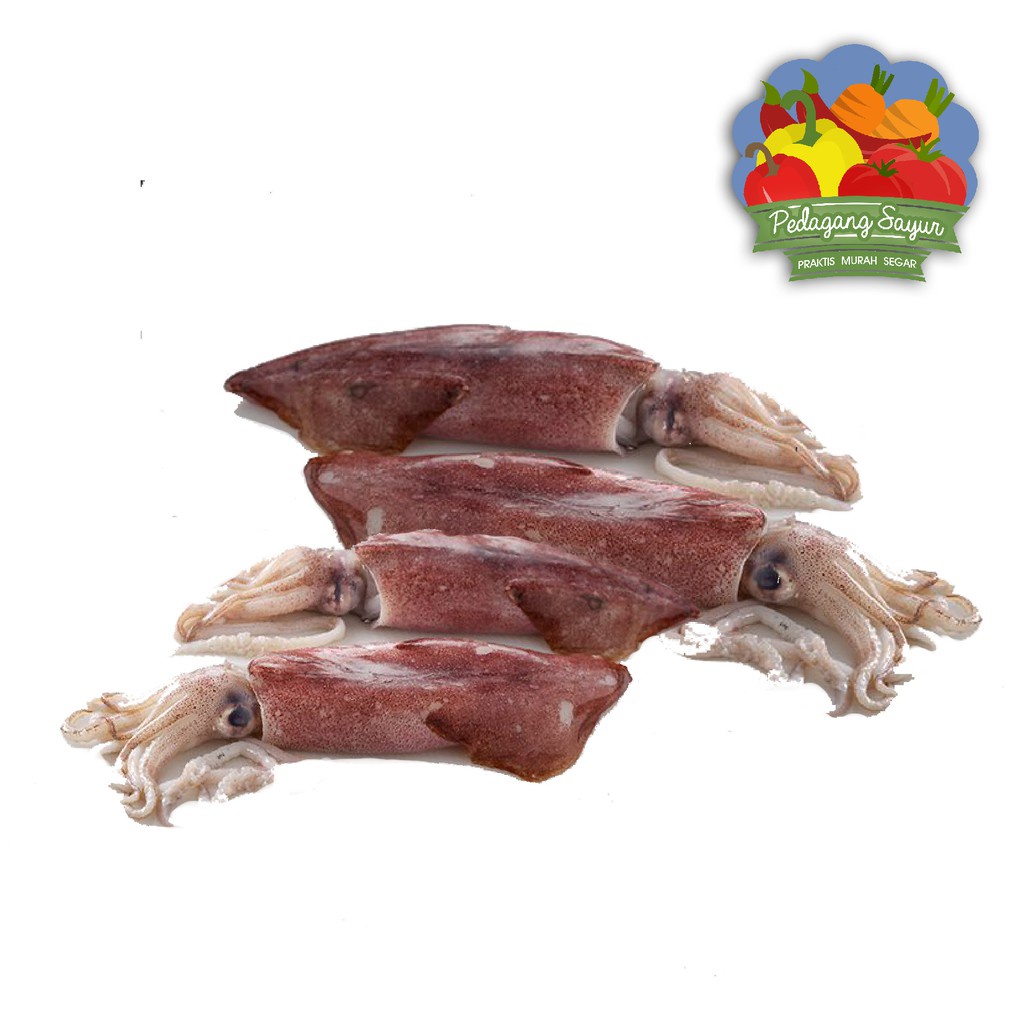 

Cumi Besar - 500 Gram (3-5 Ekor)