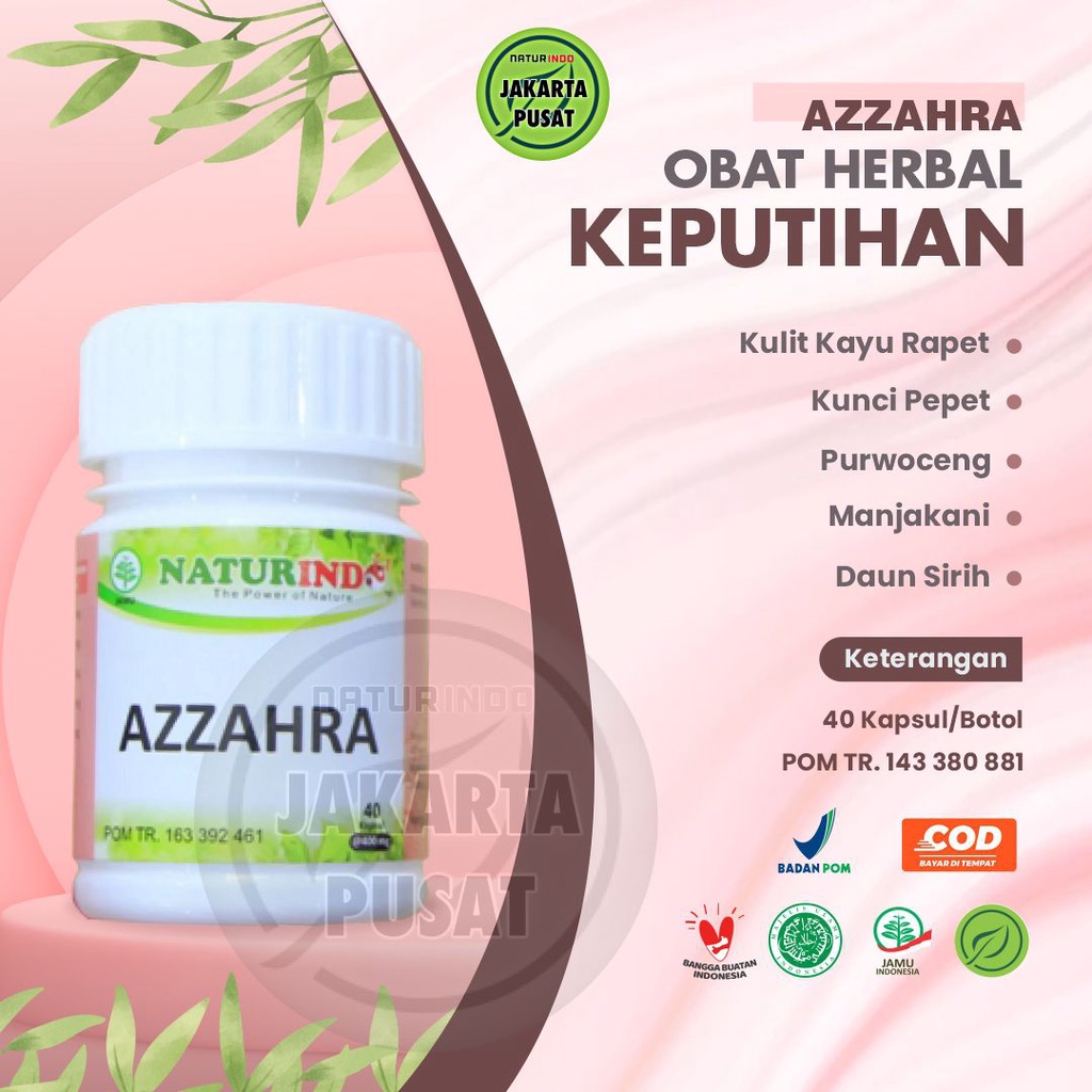 Jual Naturindo Azzahra Obat Herbal Keputihan Kewanitaan Yang Paling Ampuh Bau Nyeri Penyubur 5649