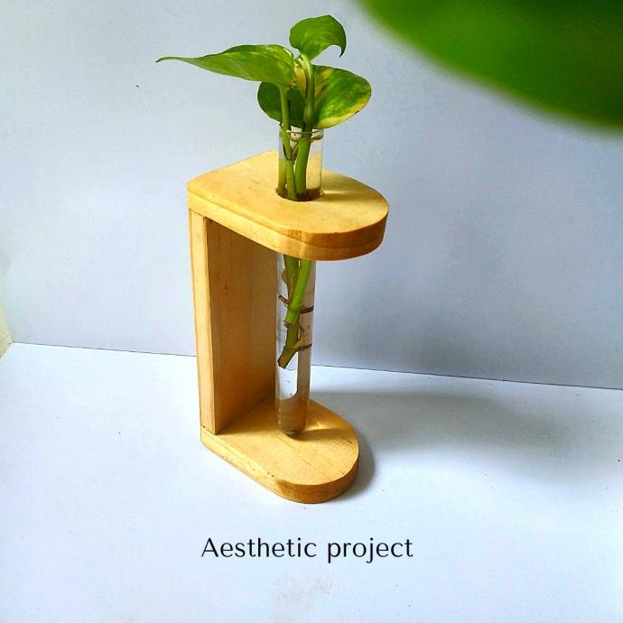 vas tanaman air / vas tabung kaca / vas dekorasi kayu media propagasi