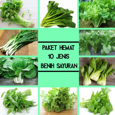 Paket Hemat Benih Sayuran Daun