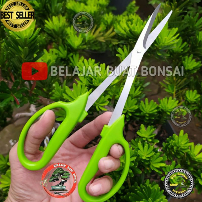 GUNTING PRUNING DAUN BONSAI UJUNG LANCIP