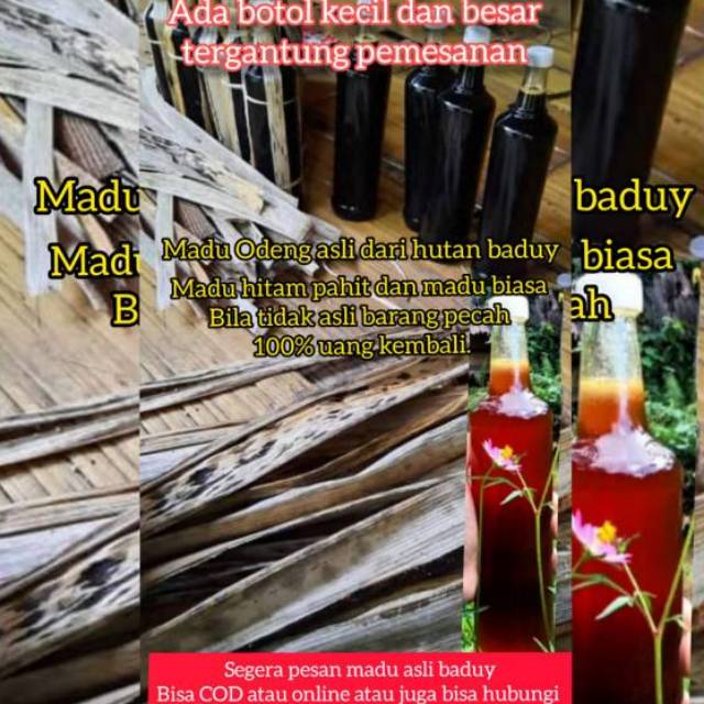 

Madu Odeng hutan baduy.