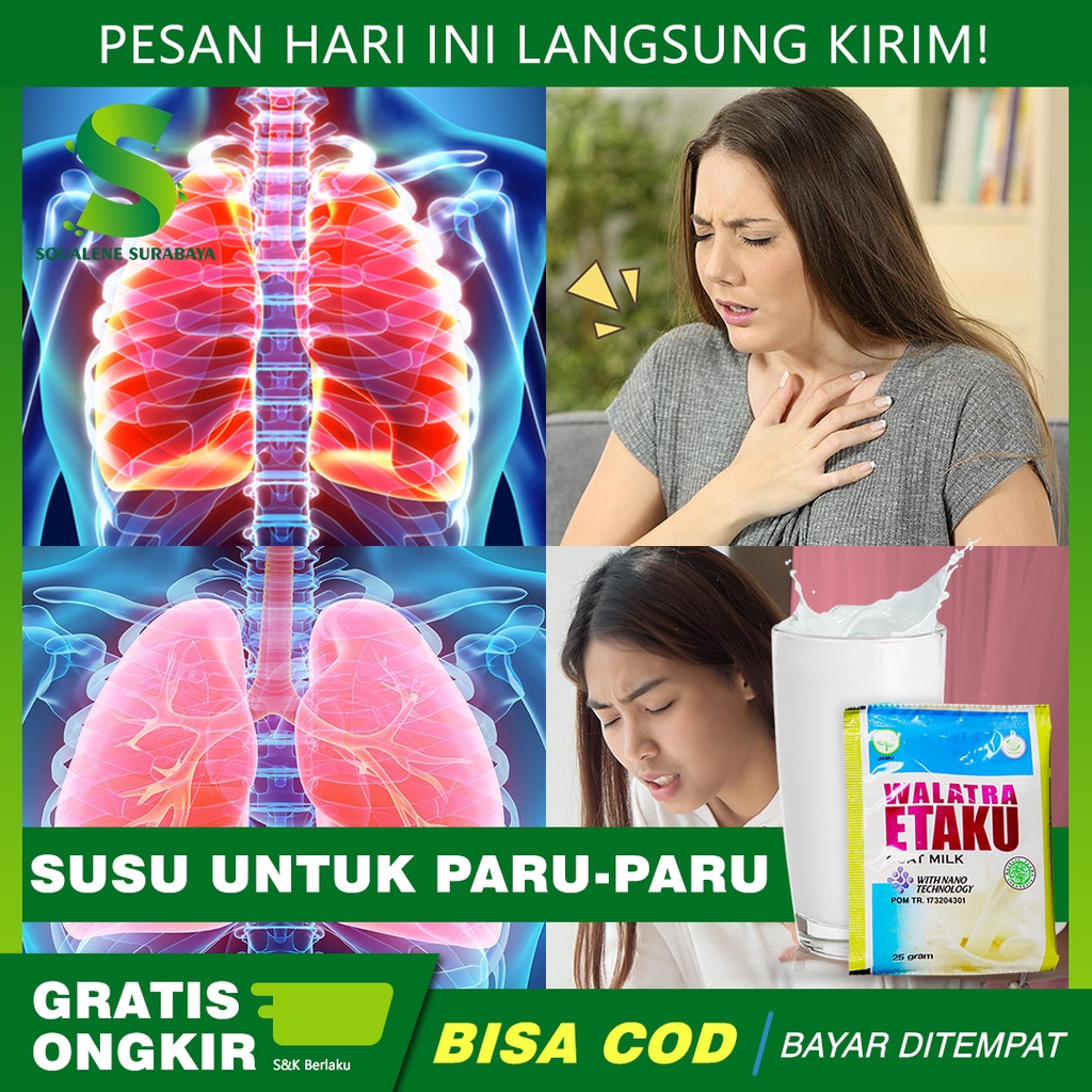 Jual Susu Untuk Paru Paru - Susu Pembersih Paru Paru - Radang Paru Paru ...