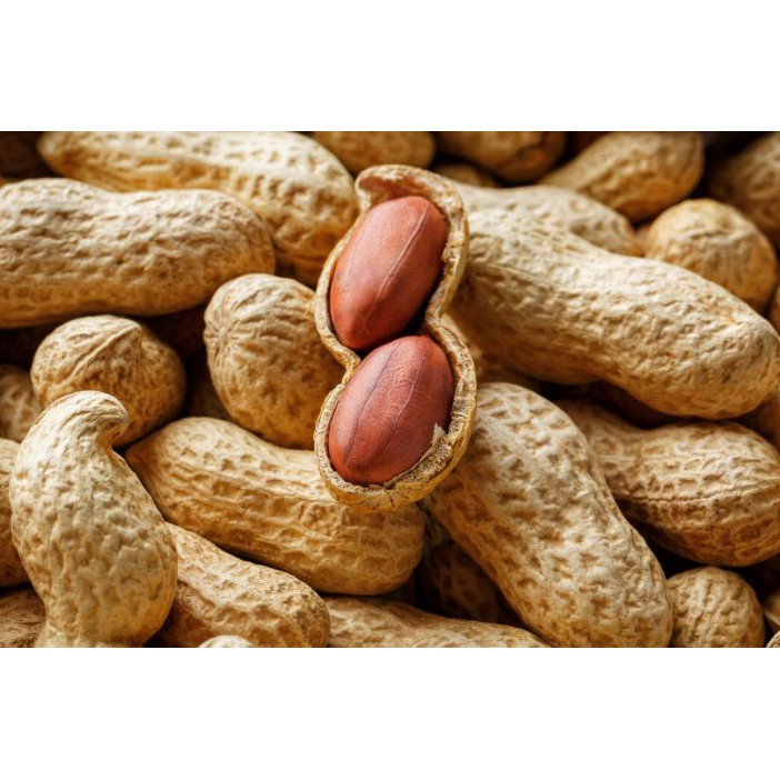 

Kacang Kulit Mentah - [200 Gr]