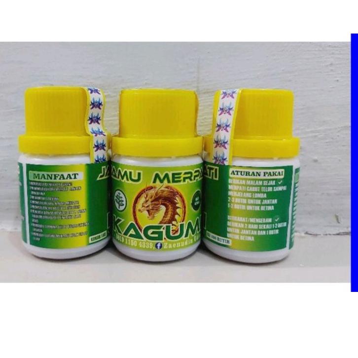 Harga Bersahabat.. Kagumi jamu merpati player jamu kagumi kuning