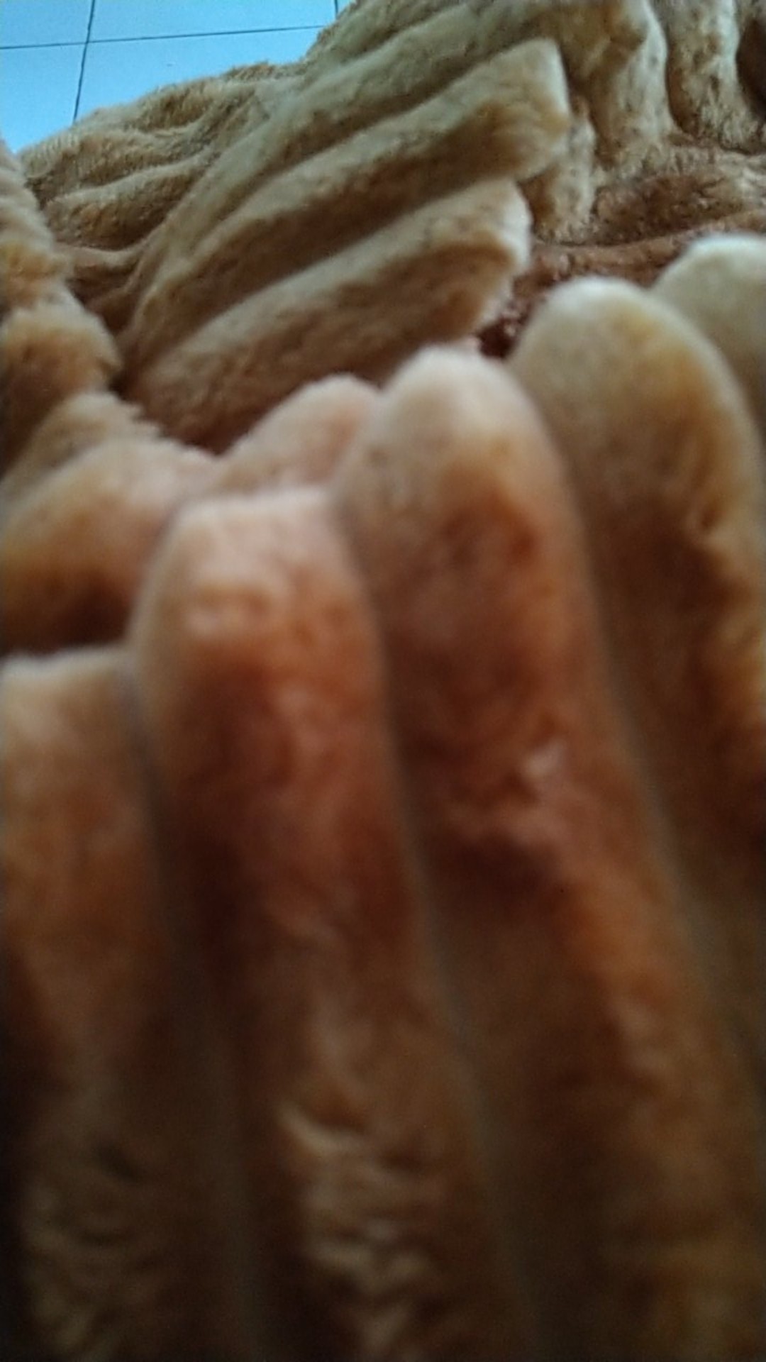 Sekrup Kayu Sekrup Bingkai Skrup Kecil M2.7 X 10 Mm - 10 Pcs