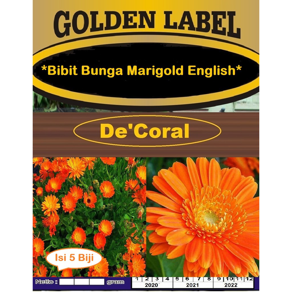 Bibit Bunga Marigold English | Benih Bunga Marigold English