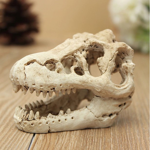 Dinosaurus Tengkorak Hiasan Akuarium Fosil Dekorasi Ornamen Aquarium