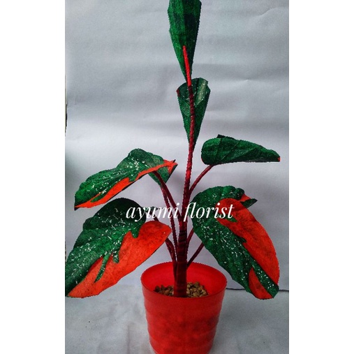 bunga keladi handmade dari plastik kresek free pot. prakarya. ukuran jumbo