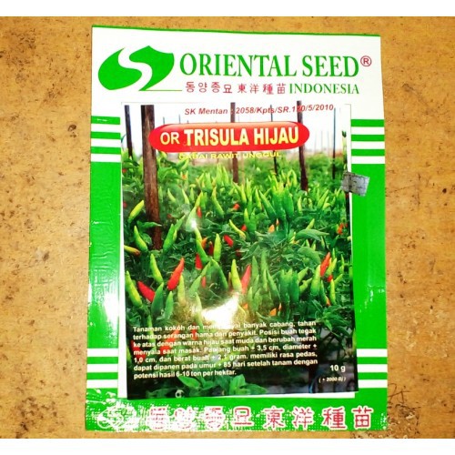 Benih Cabe Rawit "Trisula Hijau" Dari Oriental Seed