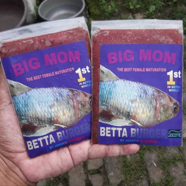 

Betta Burger BIG MOM Full Egg