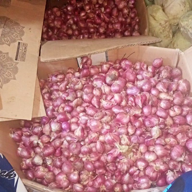 

bawang merah