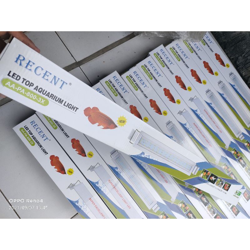 Lampu LED Akuarium, Recent AA PA 800 3x ganti warna
