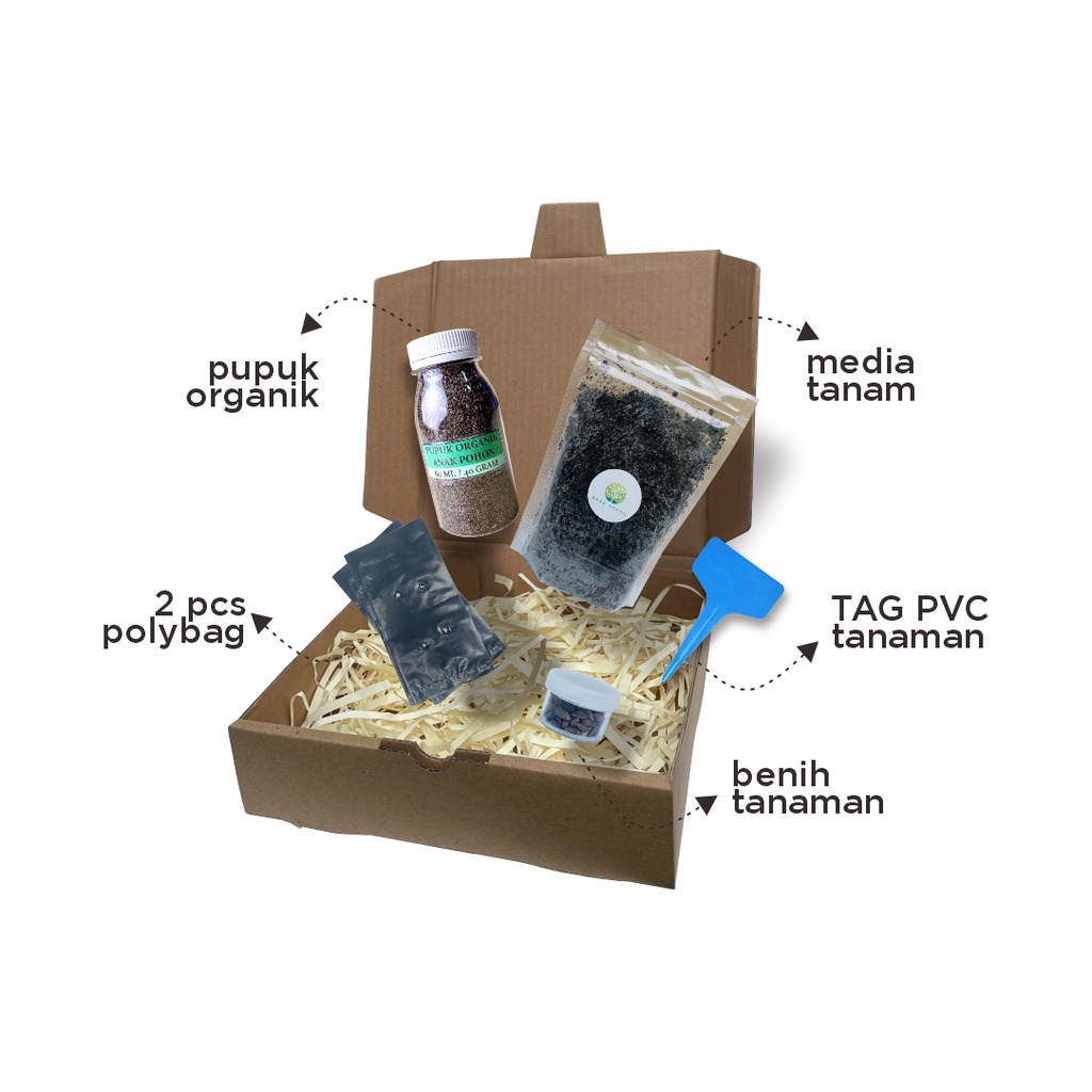 Paket Langsung Tanam - Gardening Kit - SPECIAL BOX - Benih Cabai Rawit Merah Cabe Setan Pedas Seeds