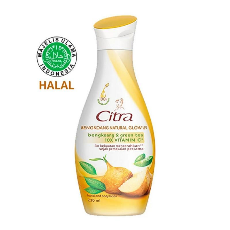 Hand and body lotion Citra bengkuang dan korea pearl 230ml