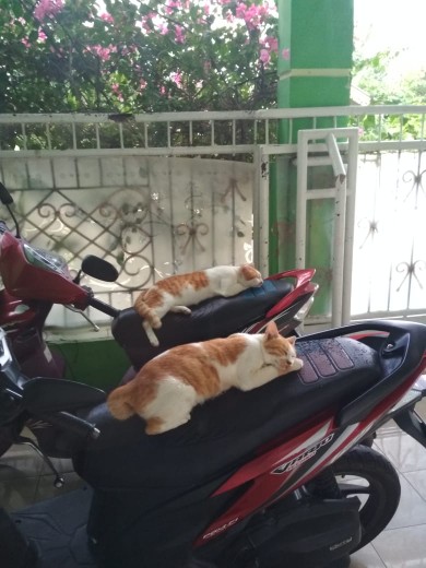 Blus Jamu Solo Batik