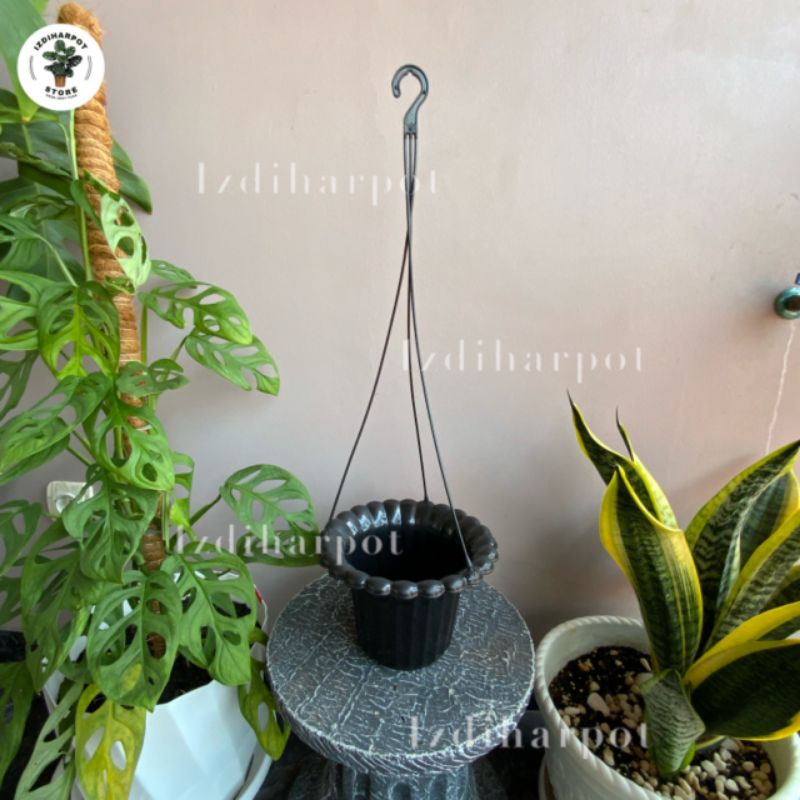 pot bunga tanaman gantung mawar warna hitam 20cm - HITAM ORIGINAL