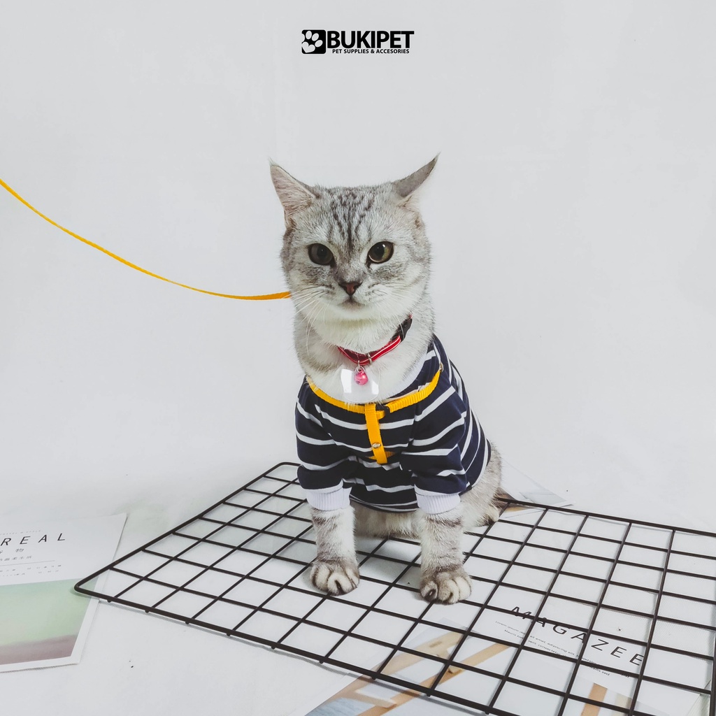 harness kucing anjing kelinci tali tuntun model Y  - CHEST STRAP HARNESS