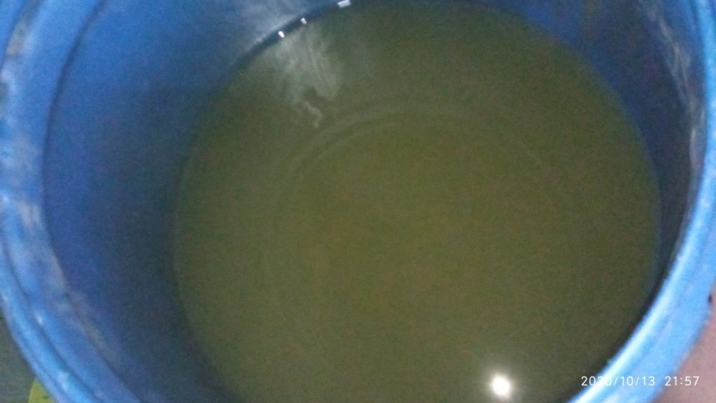 Paket Housing Filter 10in Gm 4 - Spgr Blue 0.75