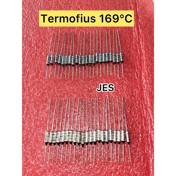 THERMOFIUS/TERMOFIUS 169°C 10A-250V