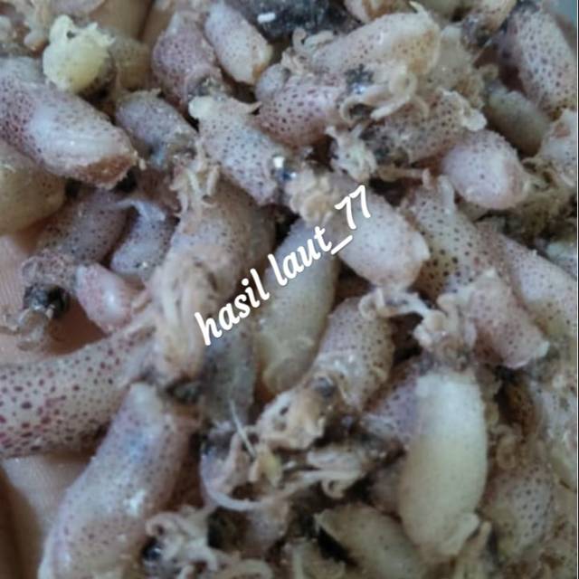 

BABY CUMI PREMIUM 500 GRAM